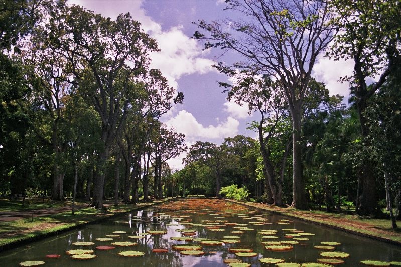 pamplemousses_gardens.jpg
