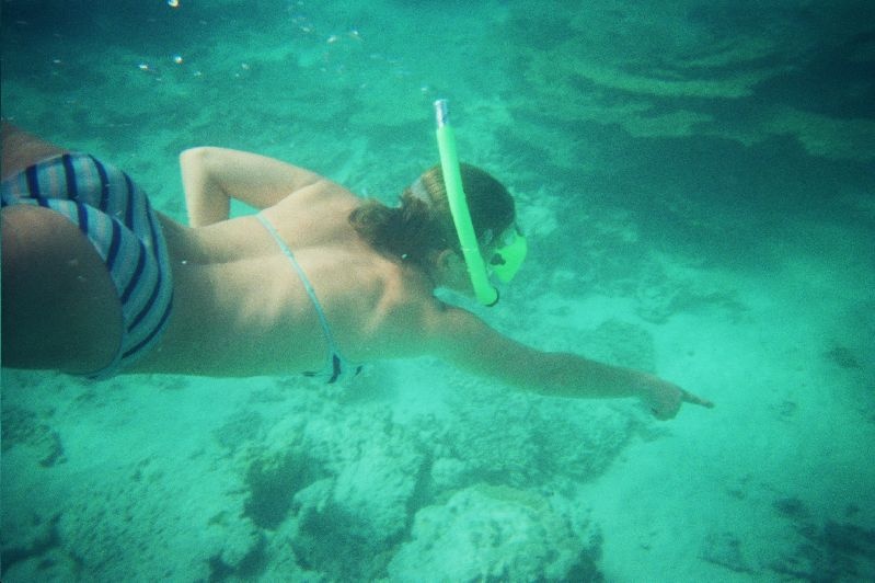 v_snorkel.jpg